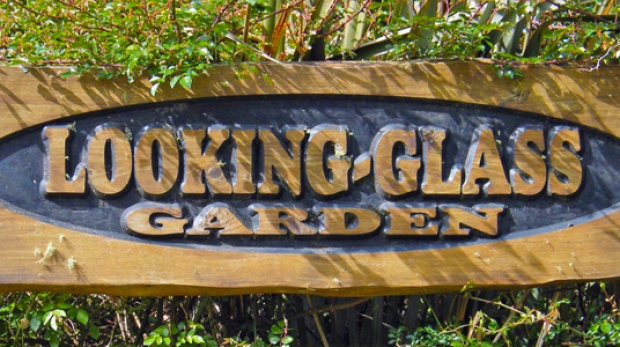 Looking Glass Garden