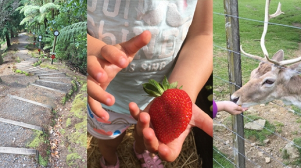 Things to do with your kids in Tauranga